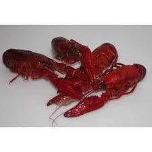 Load image into Gallery viewer, Mediterranean Wild Caught Crawfish - 3 Pounds Box