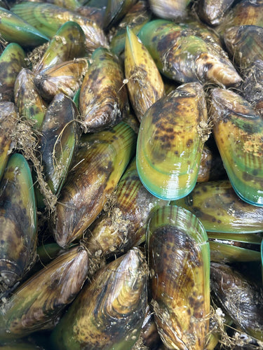 Live Fresh Green Mussels Per pound