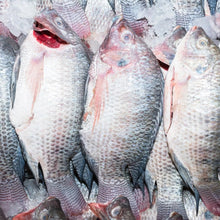 Load image into Gallery viewer, Whole Tilapia - Mojarra Entera, Gutted &amp; Scaled, Ocean-Raised, Per Pound