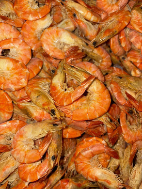 Premium Mexican Dried Shrimp 1 lb - Camarón Seco | Tres Islas Seafood