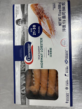 Load image into Gallery viewer, Langoustine Norway Wild Caught