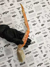 Load image into Gallery viewer, Jumbo King Crab Legs