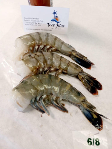 6/8 Black Tiger Shrimp Headless 4 Pounds Box - Camaron Tigre Extra Colossal 4 Libras