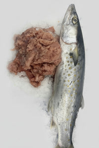 buying sierra fish by box Styrofoam 50LB Capacity Perfect for ceviche Ground Sierra Mackerel Per Pound