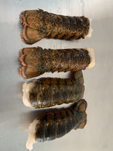 Load image into Gallery viewer, Large 5/6 oz  Lobster Tail
