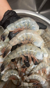 Super Colossal U8 Wild Shrimp- Camaron Salvaje U8