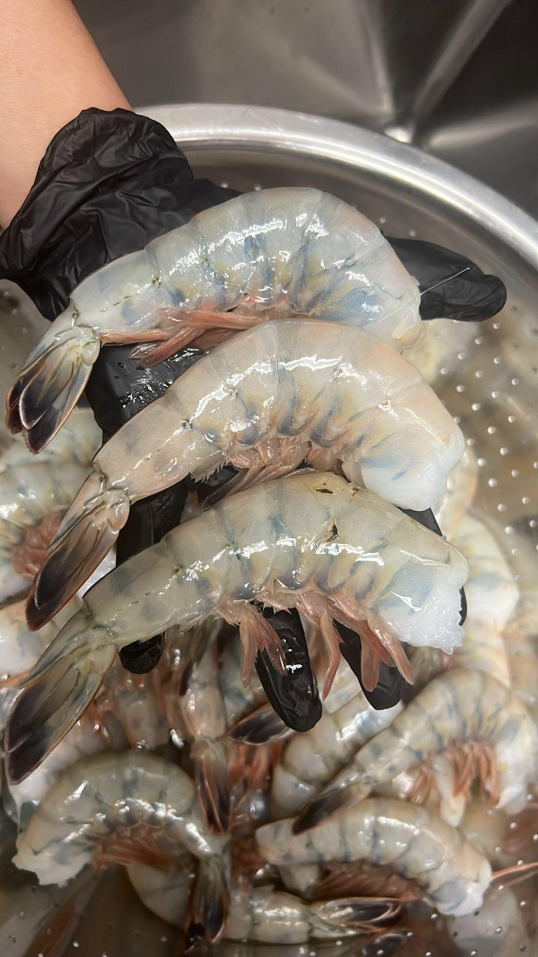 Wild Mexican Shrimp U8 - Super Colossal (Priced Per Piece)