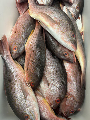 Pargo Lunarejo / Lane Snapper Whole Fish Price Per Pound