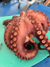 Load image into Gallery viewer, Pulpo Cocido Entero Mexicano - Whole Cooked Mexican Octopus per Pound