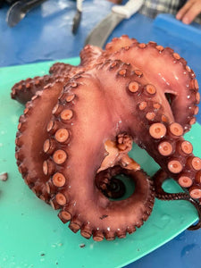 Pulpo Cocido Entero Mexicano - Whole Cooked Mexican Octopus per Pound