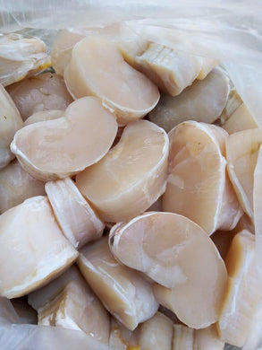 Callo de Hacha Media Luna