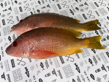Load image into Gallery viewer, Fresh Whole Red Snapper (3-4 lbs) - Premium Pargo