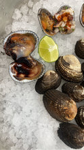 Load image into Gallery viewer, Live Blood Clams - Pata de Mula, Almeja Negra Fresca from Mexico - 1 lb