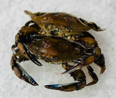 Wild Caught Jumbo Blue Crab Whole - Raw Frozen (Mexico & East Coast USA)
