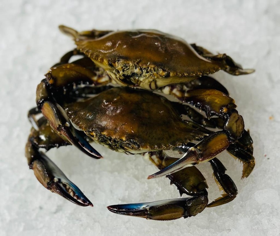 Wild Caught Jumbo Blue Crab Whole - Raw Frozen (Mexico & East Coast USA)