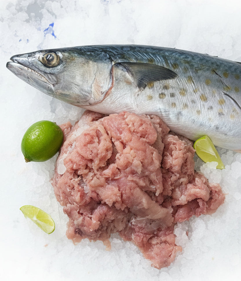 buying sierra fish by box Whitefish Lovers Read more. Premium Ground Sierra Mackerel