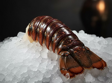Load image into Gallery viewer, 9oz Jumbo Warm Water Lobster Tail