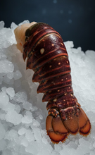 Load image into Gallery viewer, 9oz Jumbo Warm Water Lobster Tail