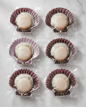 Load image into Gallery viewer, Halfshell Scallops