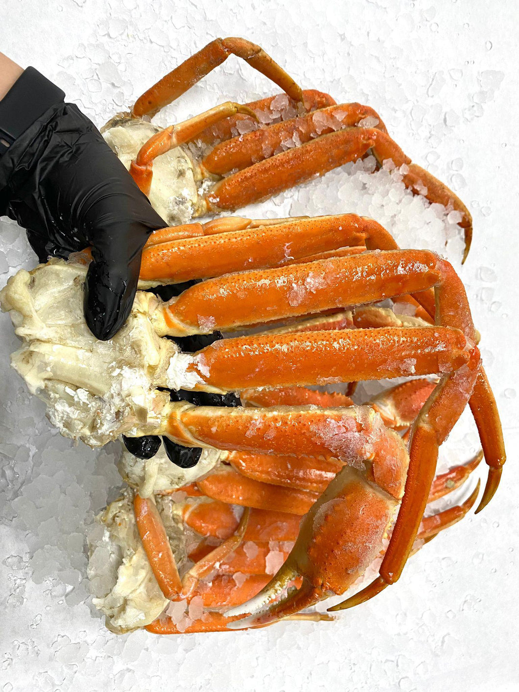 Colossal Snow Crab Cluster 12/14 oz