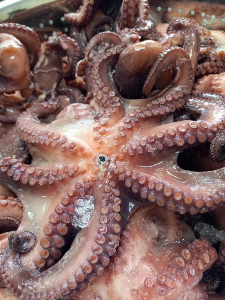 Pulpo Cocido Entero Mexicano - Whole Cooked Mexican Octopus per Pound