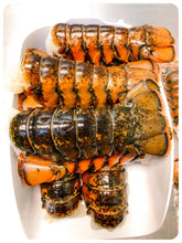 Load image into Gallery viewer, Colossal Lobster Tails 16-20 oz  Premium Quality