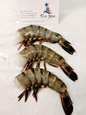 Colossal Black Tiger Shrimp 8/12 - 1 lb | Premium Seafood