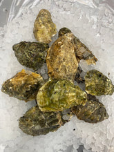 Load image into Gallery viewer, Fresh Pacific Medium Size Oysters from Mexico - Weekly Arrival ( 12 Pieces )