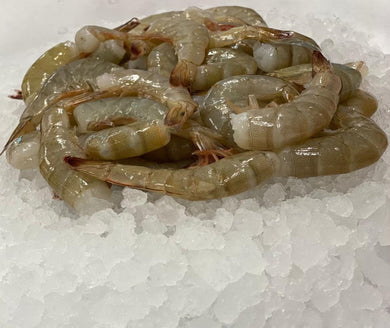 16/20 Ecuador Extra Jumbo Shrimp  - 4 Pound Box