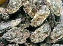 Load image into Gallery viewer, Fresh Pacific Medium Size Oysters from Mexico - Weekly Arrival ( 12 Pieces )