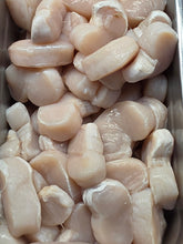 Load image into Gallery viewer, Callo de Hacha Media Luna – Fresh Halfmoon Scallops | Price per lb