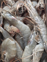 Load image into Gallery viewer, 20/30 Jumbo Head-On Shrimp - Camarón con Cabeza, 4 Pound Box