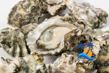 Load image into Gallery viewer, Caja de Ostion Fresco Vivo - Box of Fresh Oysters Live