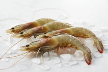 Load image into Gallery viewer, 10/20 U10 Head On shrimp Colossal   / Camaron Colossal con Cabeza