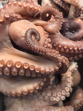 Load image into Gallery viewer, Wild Whole Mexican Octopus 2/4 - Pulpo Mexicano Salvaje, Per Pound