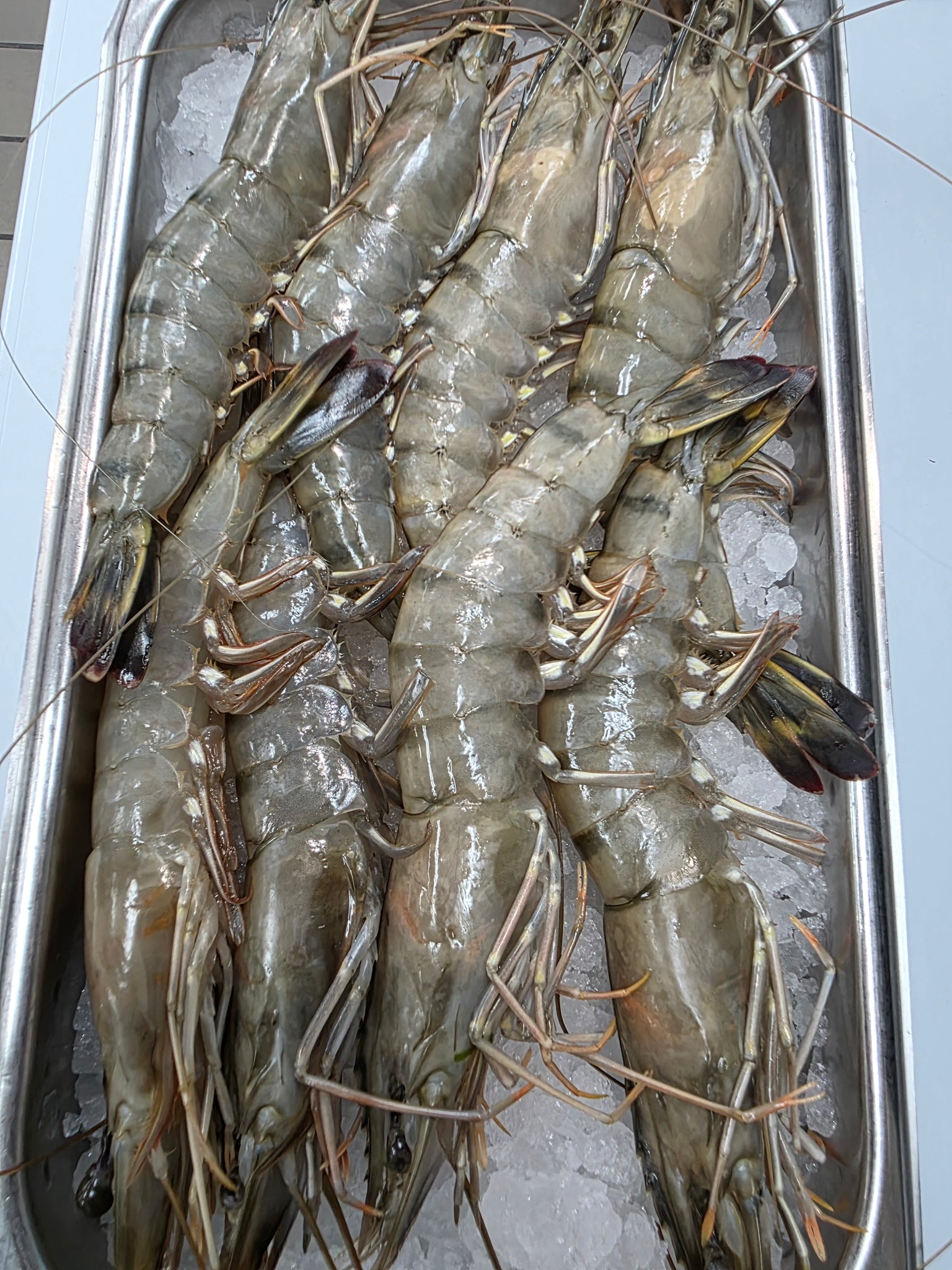 Tiger Pickers 6/8 Black Tiger Shrimp Head-On Per Pound | Extra Colossal Shrimp – Tres ...