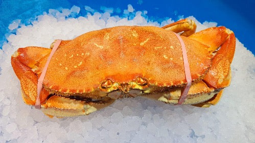 Dungeness Crab Whole