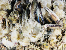 Load image into Gallery viewer, Blue Crab Whole Cleaned - Jaiba Azul Limpia Por Libra