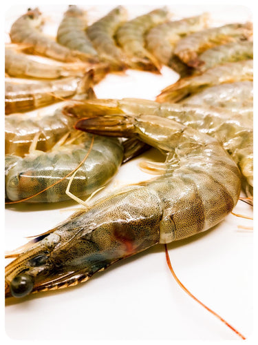 20/30 Head On Shrimp Ecuador Per Pound - Camaron Jumbo Con Cabeza por Libra