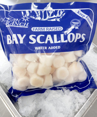 60/80 Bay Scallop - Callo de Bahia Por Libra