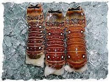 Load image into Gallery viewer, Lobster Tail 14 + oz JUMBO - Cola de Langosta de 10 + oz JUMBO . Price per Pound. Precio Por Libra.