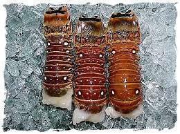 Colossal Lobster Tails 16-18 oz - Premium Quality