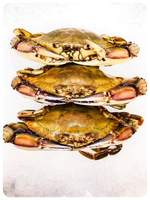 Jumbo Blue Crab Whole - Wild Caught