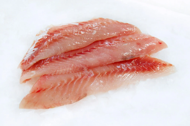 Red Snapper Pacific Fillet Fresh