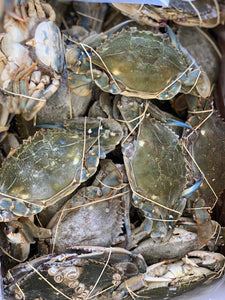 Blue Crab Whole - Jaiba Azul