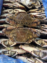 Load image into Gallery viewer, Blue Crab Whole - Jaiba Azul