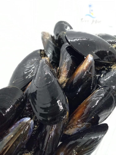 Mussels Black Live