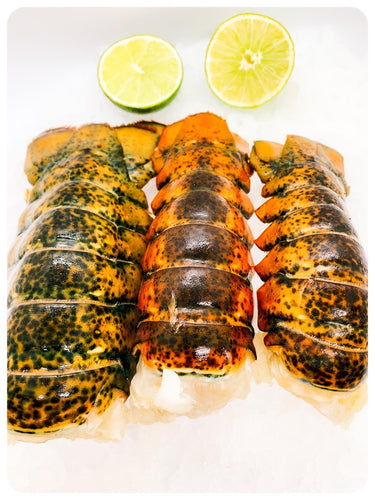 Lobster Tail 3/4 Oz - Cola de Langosta