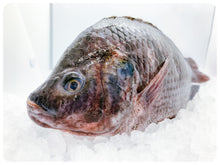 Load image into Gallery viewer, Whole Tilapia - Mojarra Entera, Gutted &amp; Scaled, Ocean-Raised, Per Pound