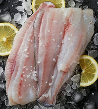 Load image into Gallery viewer, Wild Caught Flounder Fillet - Lenguado